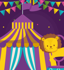 cute circus lion in stage