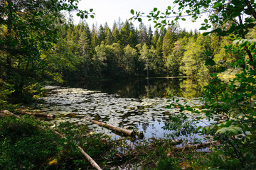 tranquil lake in Norway