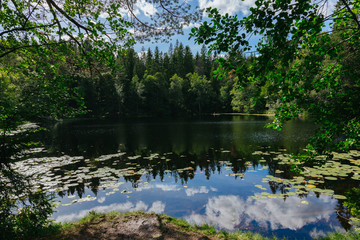 tranquil lake in Norway