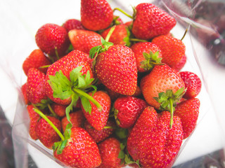 A fresh strawberries harvest from farm. A red fruit contains vitamins A for healthy.