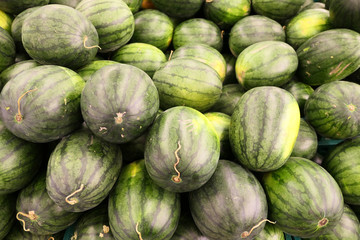 Pile of watermelons