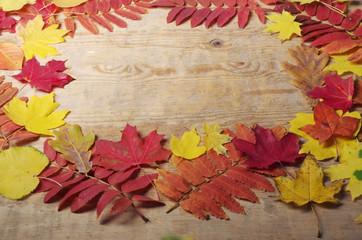 Naklejka na ściany i meble Autumn background. Bright autumn leaves on a wooden texture