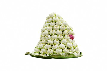 lotus blossom for offering Buddha on leaf in white background