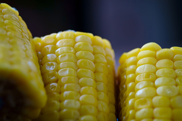 Close-up view of boiled corn