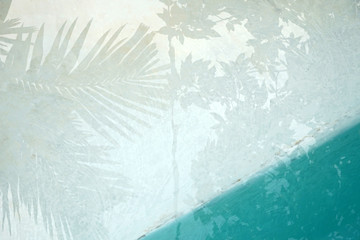Refection of tree leaves in swimming pool