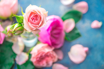 Pink peony roses, petals, and leaves on a wet rainy background in the morning light. Spring header with copy space