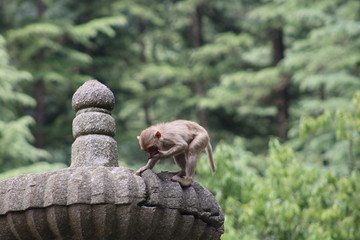 Uttarakhand @jagnath