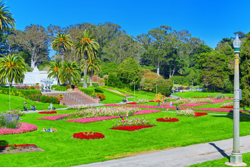 Fototapeta premium San Francisco Botanical Garden.