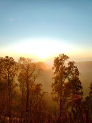 Fototapeta premium Good Morning