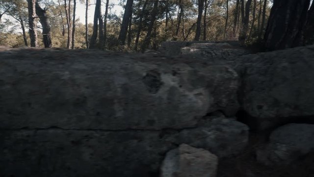 View Of Ancient Tombs In Forest. Steady Cam Shot Tomb Among Trees. teady Cam Shot, Walking On Track To Tomb In The Forest.Ancient Tombs In Forest. Ancient tomb on lycian way in Turkey.