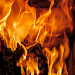 Fire flames of a burning wooden log in a fireplace. Natural bright red-yellow fiery texture of...