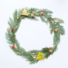 Wreath, branches. Frame. Copy space. Branches of trees. Flowers. 