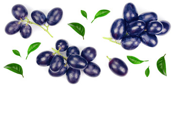 bue grapes isolated on the white background with copy space for your text. Top view. Flat lay pattern