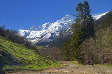 Fototapeta na wymiar Spring in mountains