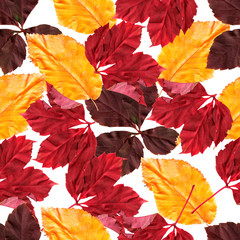Bright colorful autumn leaves. Seamles pattern. Natural background. Mixed media vintage artwork.
