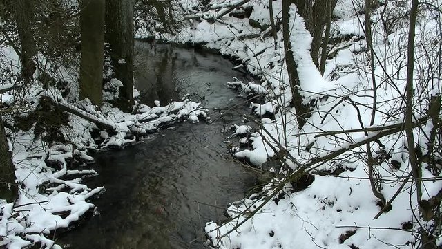 Little icy creek through the snowy country