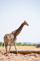 2018-10 Namibia