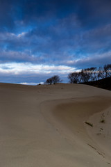 Fototapeta na wymiar Lines in the sand