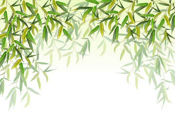 Willow branches. Background for cards and prints. Vector illustration.