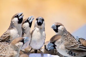 2018-10 Namibia