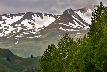 Kodiak Island Alaska