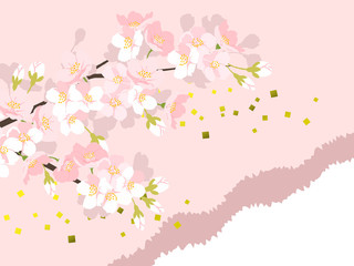 Obraz na płótnie Canvas 桜の背景イラスト