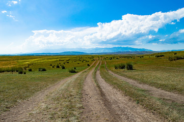 Fototapeta premium road in the field