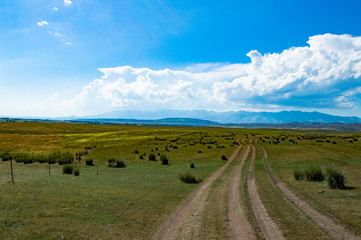 Obraz premium road in the field