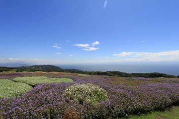 Obraz premium 淡路島