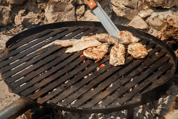 Organic chicken meat on barbecue