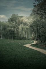 romantic path in a park