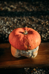 A small pumpkin on the wooden bench