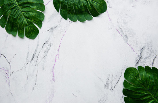 Monstera Leaves On A Marble Background