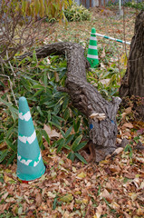 Fototapeta premium 道端の風景
