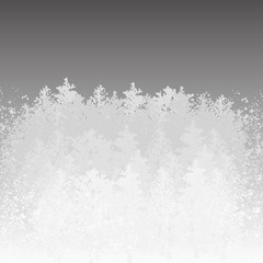 Contour of the forest in the fog