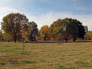 Autumn day in the park. Colorful trees. 