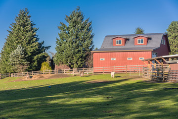 Obraz premium Country farm barn and fences Oregon.