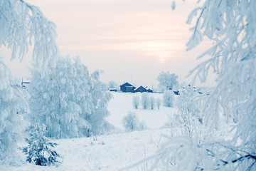 Winter fairy tale landscape with snowy trees and frosty branches