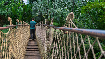 Young man on over a hanging bridge in the jungle