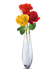 Obraz premium Colored Roses in a glass vase, isolated. Realistic vector 3d illustration