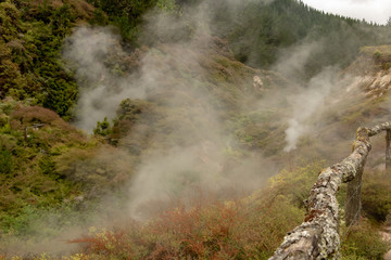 Fototapeta na wymiar Steam rising from ground in New Zealand 