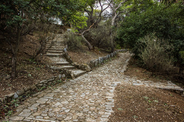 concrete stairs and paved curved road for walking  in atmospheric dark twilight mysterious park