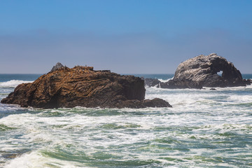 Fototapeta na wymiar Birds resting on Rocks in the Pacific Ocean, off the Californian coast, near San Francisco