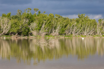 The scenics of Eco Pond in Everglades National Park.