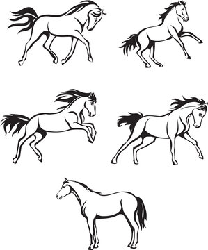 horses, black, illustration, symbol, design, animal, isolated