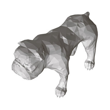 Polygonal Bulldog