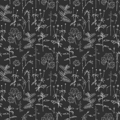 Vector seamless pattern with wild herbs, dark version.