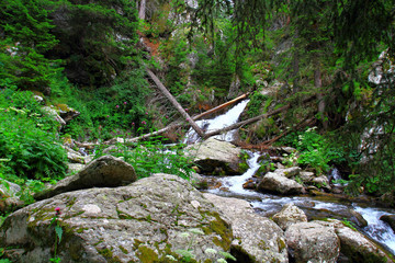RIVIERE MERCANTOUR