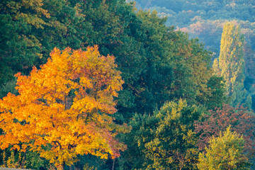 Blick ins Tal einer Herbstlandschaft im Morgenlicht