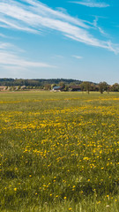 Smartphone HD wallpaper of beautiful view near Arnstorf - Bavaria - Germany